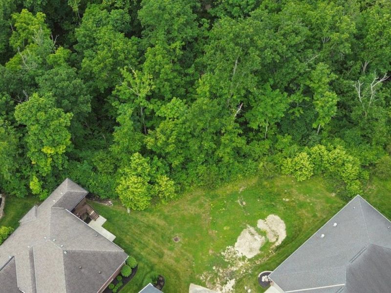 9255 Geromes Way, Unit Lot 8, Symmes Township, OH 45140 Photo 4