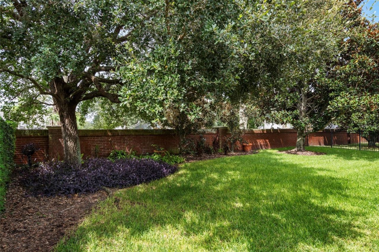 544 Douglas Edward Drive, Ocoee, FL 34761 Photo