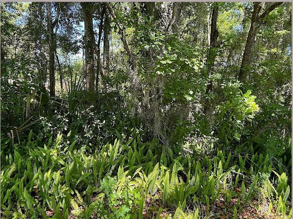 UNION STREET , BROOKSVILLE, FL 34601