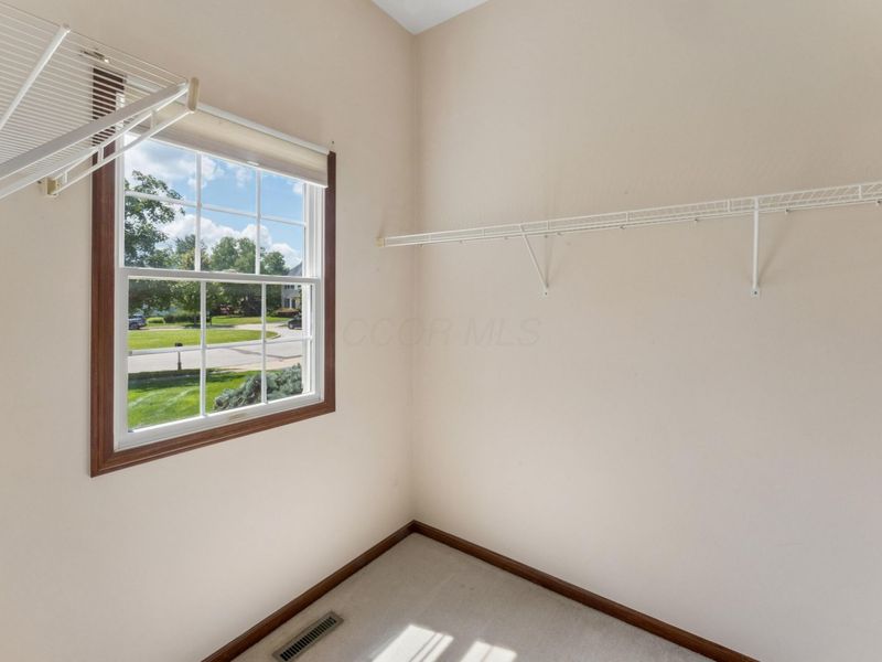 7259 New Point Place, Powell, OH 43065 Photo 22