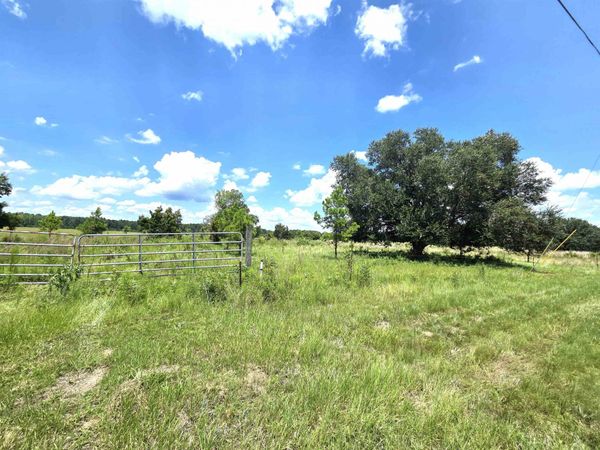 XXX SW CR 379, Bristol, FL