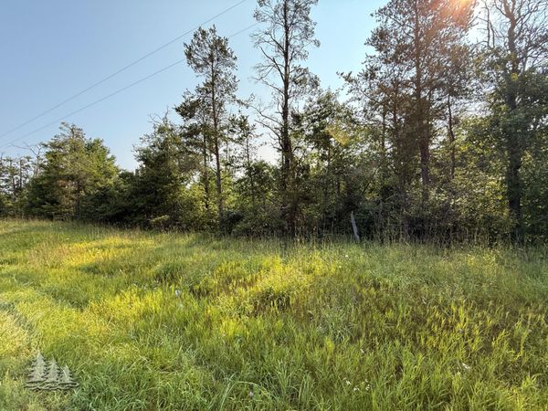 V/L County Road 489, Lewiston, MI 49756
