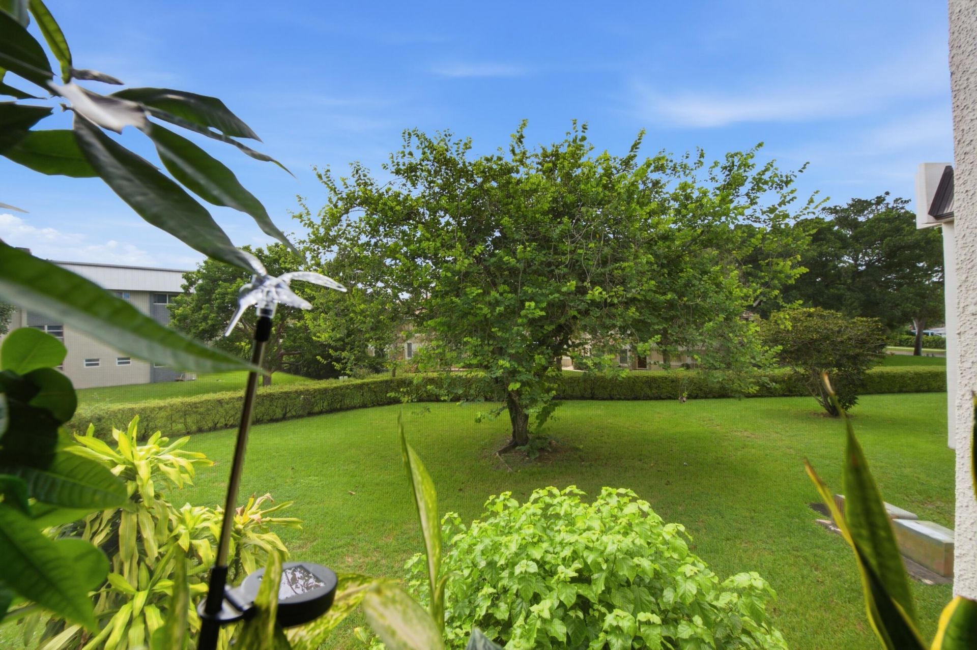 8409 Forest Hills Drive, Unit 206, Coral Springs, FL 33065 Photo