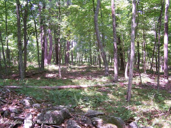 110 Burleigh Road, New Paltz, NY 12561