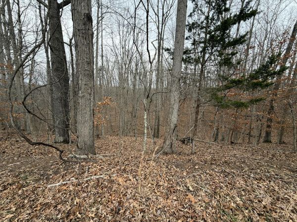 Lot 25 Oak Hollow RD , Moneta, VA 24121