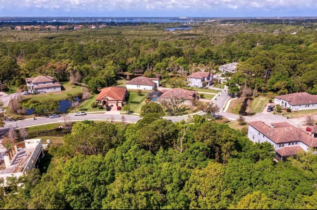7849 Marsh Pointe Drive, Tampa, FL 33635 Photo