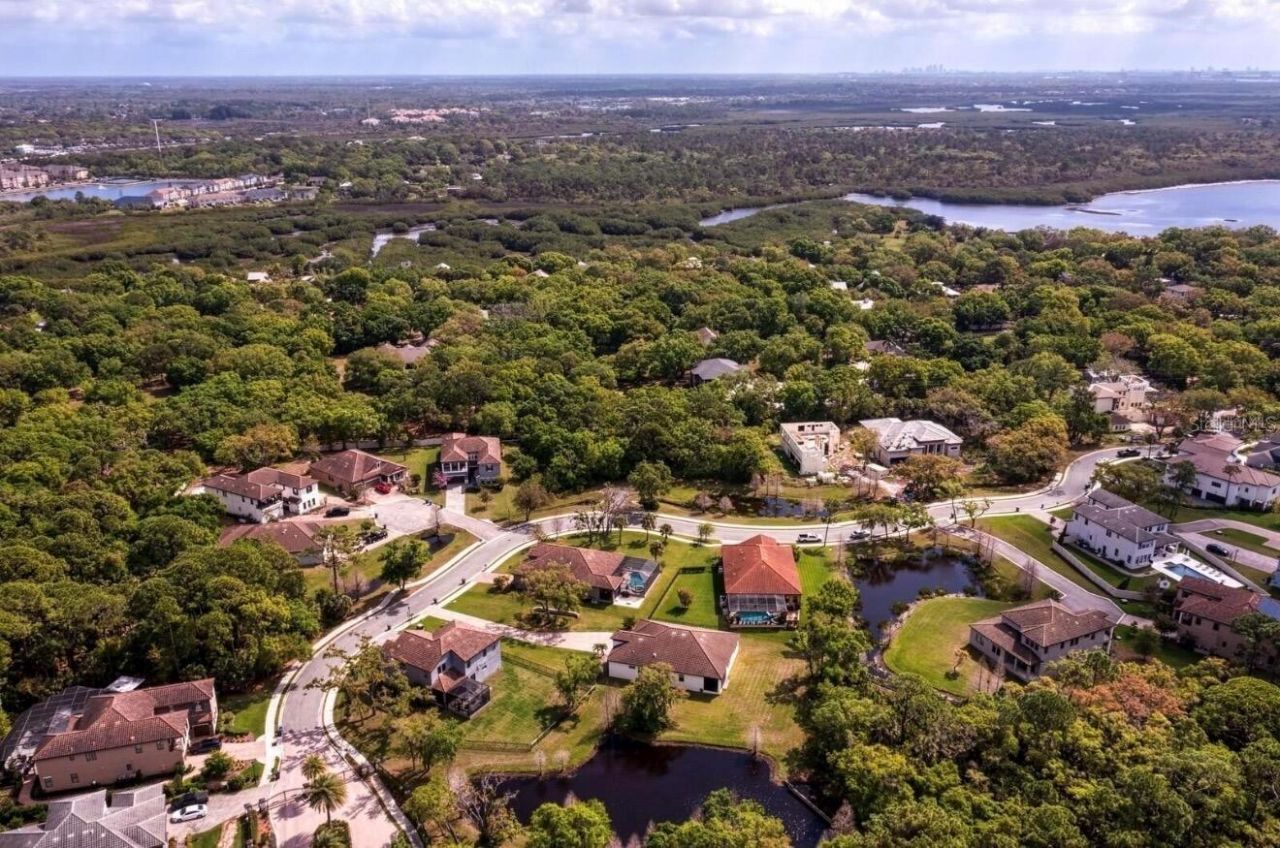 7849 Marsh Pointe Drive, Tampa, FL 33635 Photo