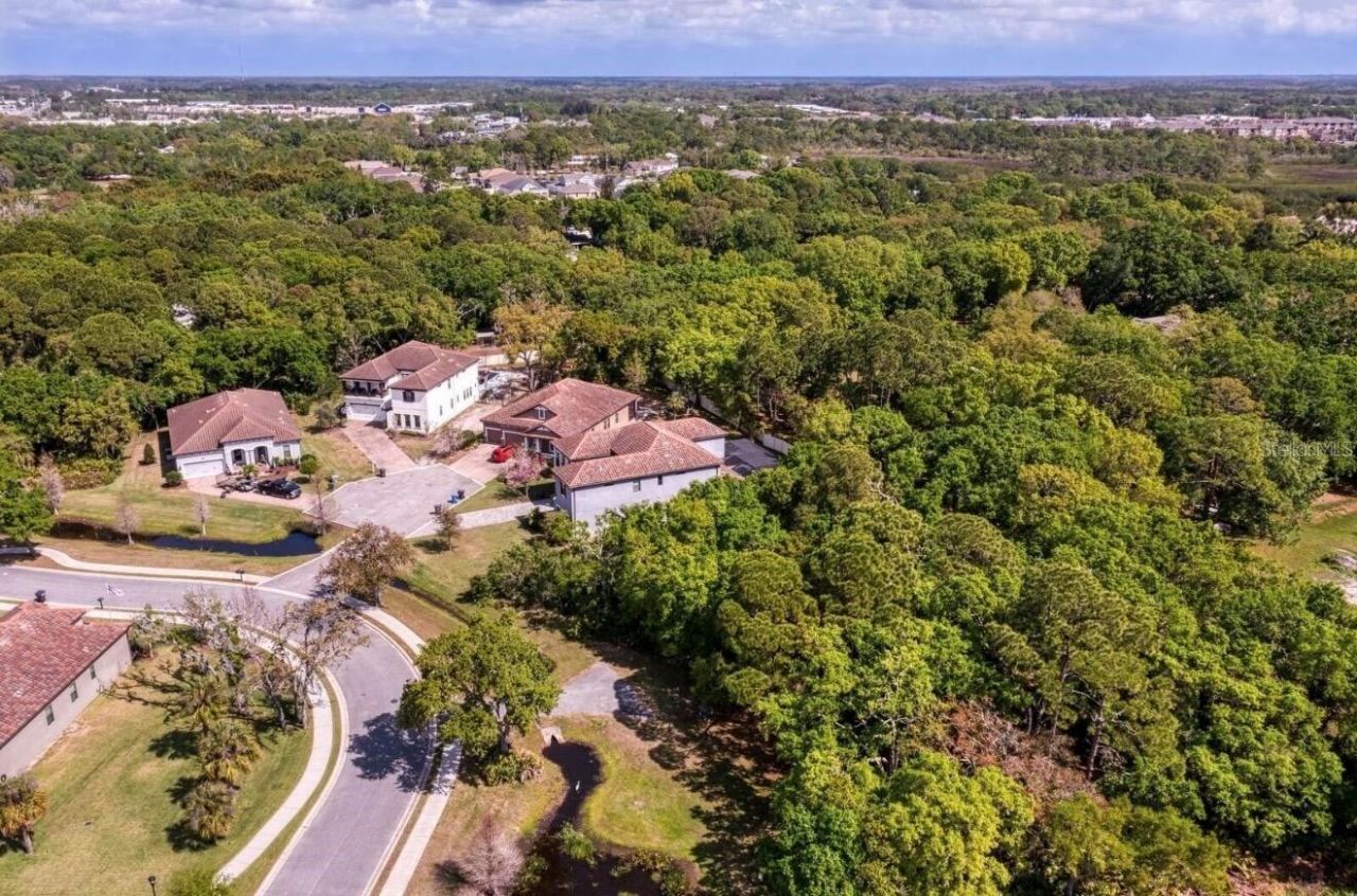 7849 Marsh Pointe Drive, Tampa, FL 33635 Photo