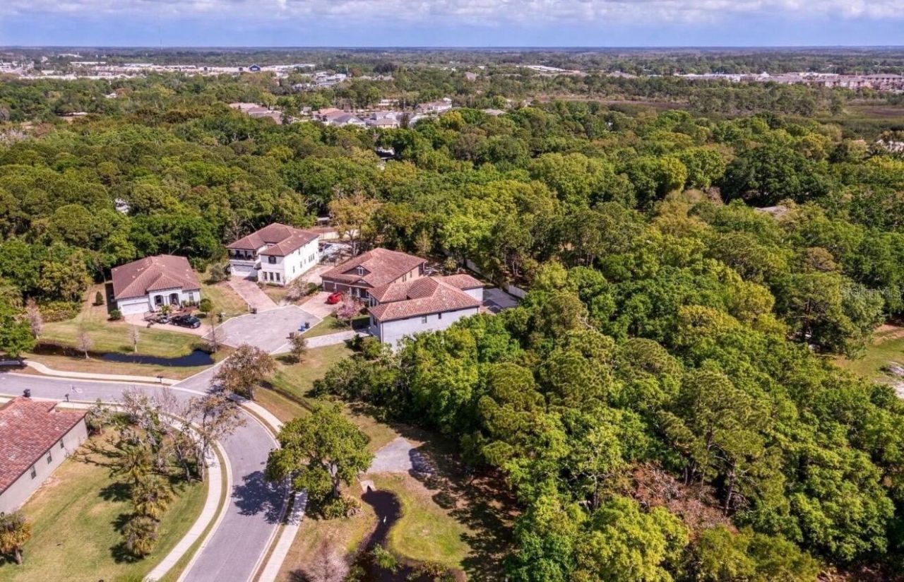 7849 Marsh Pointe Drive, Tampa, FL 33635 Photo