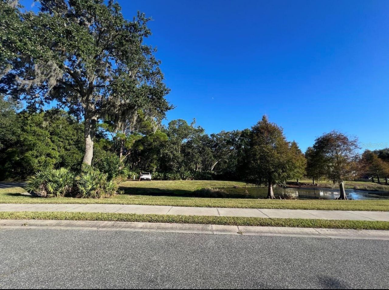 7849 Marsh Pointe Drive, Tampa, FL 33635 Photo