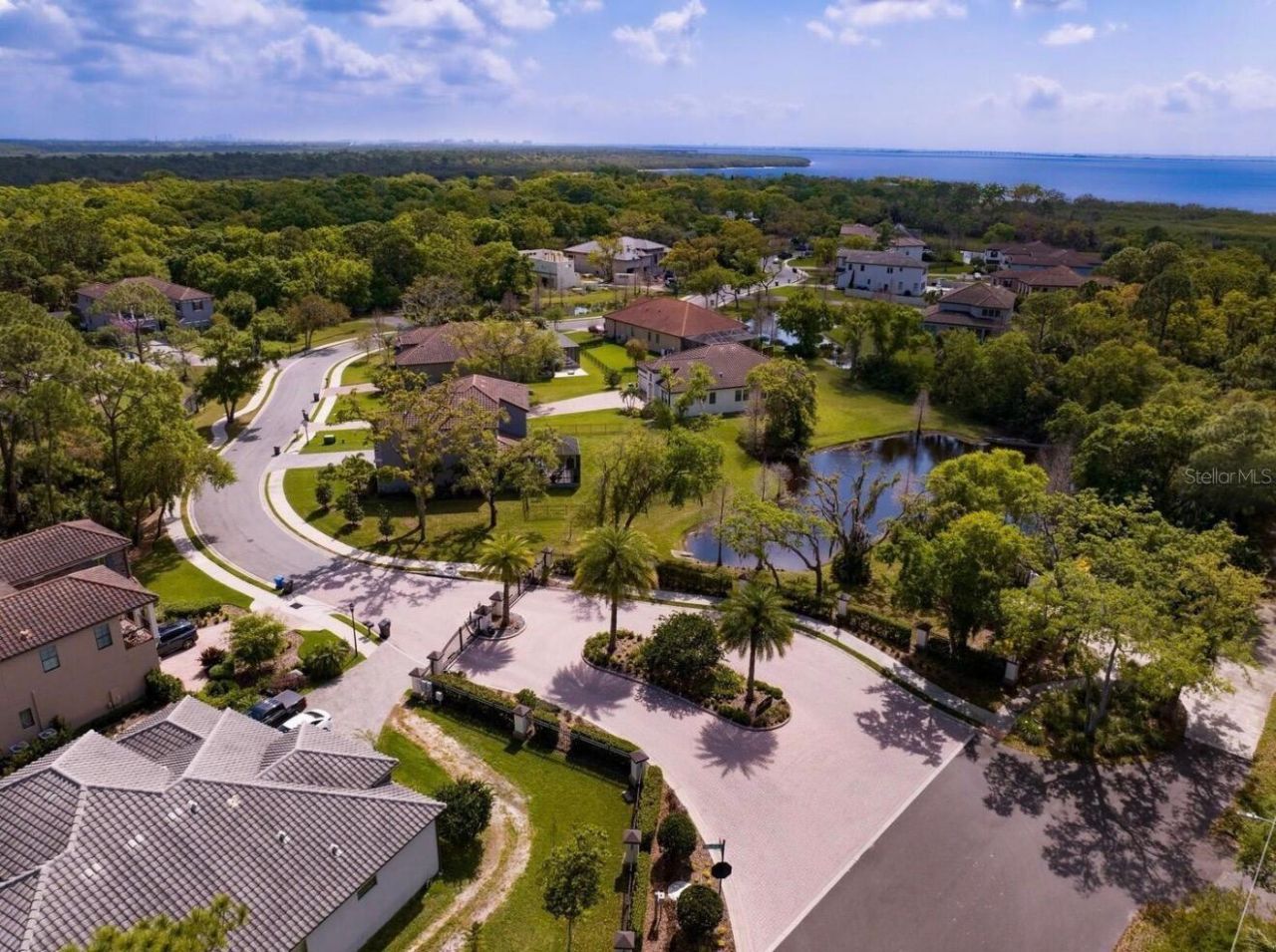 7849 Marsh Pointe Drive, Tampa, FL 33635 Photo