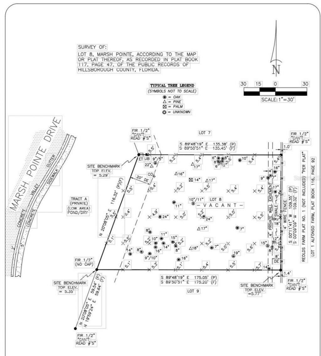 7849 Marsh Pointe Drive, Tampa, FL 33635 Photo