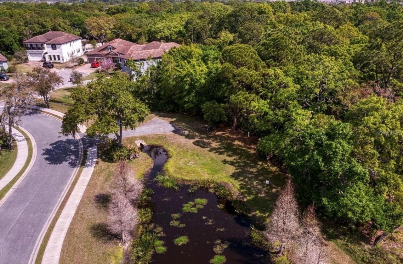 7849 Marsh Pointe Drive, Tampa, FL 33635 Photo