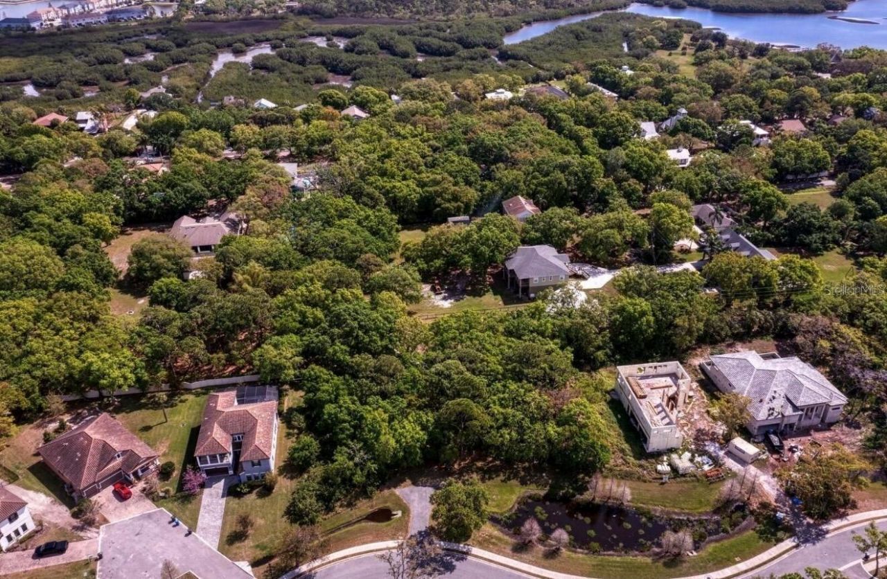 7849 Marsh Pointe Drive, Tampa, FL 33635 Photo