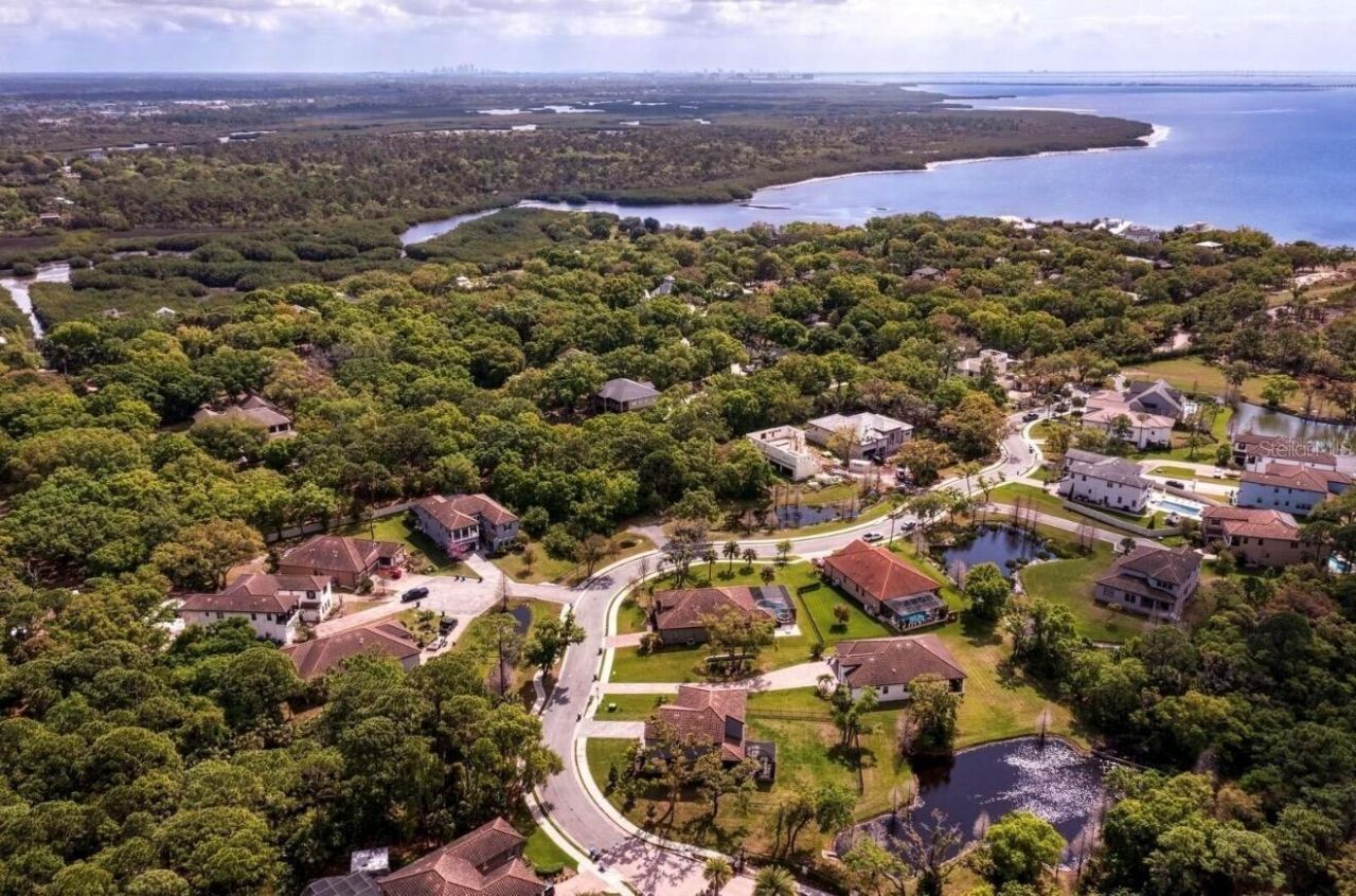 7849 Marsh Pointe Drive, Tampa, FL 33635 Photo