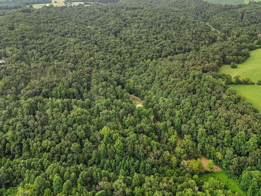 Property Image 63