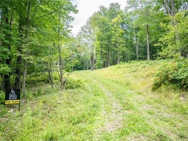 Lot 8 Beaver Creek Hollow Road, Andes, NY 13752