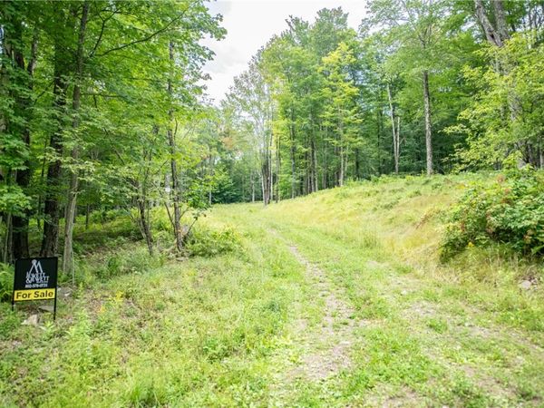 Lot 8 Beaver Creek Hollow Road, Andes, NY 13752