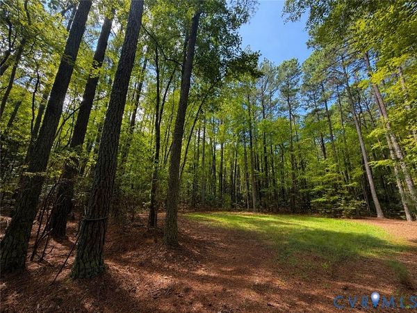 0 Robinson Lane, Topping, VA 23169