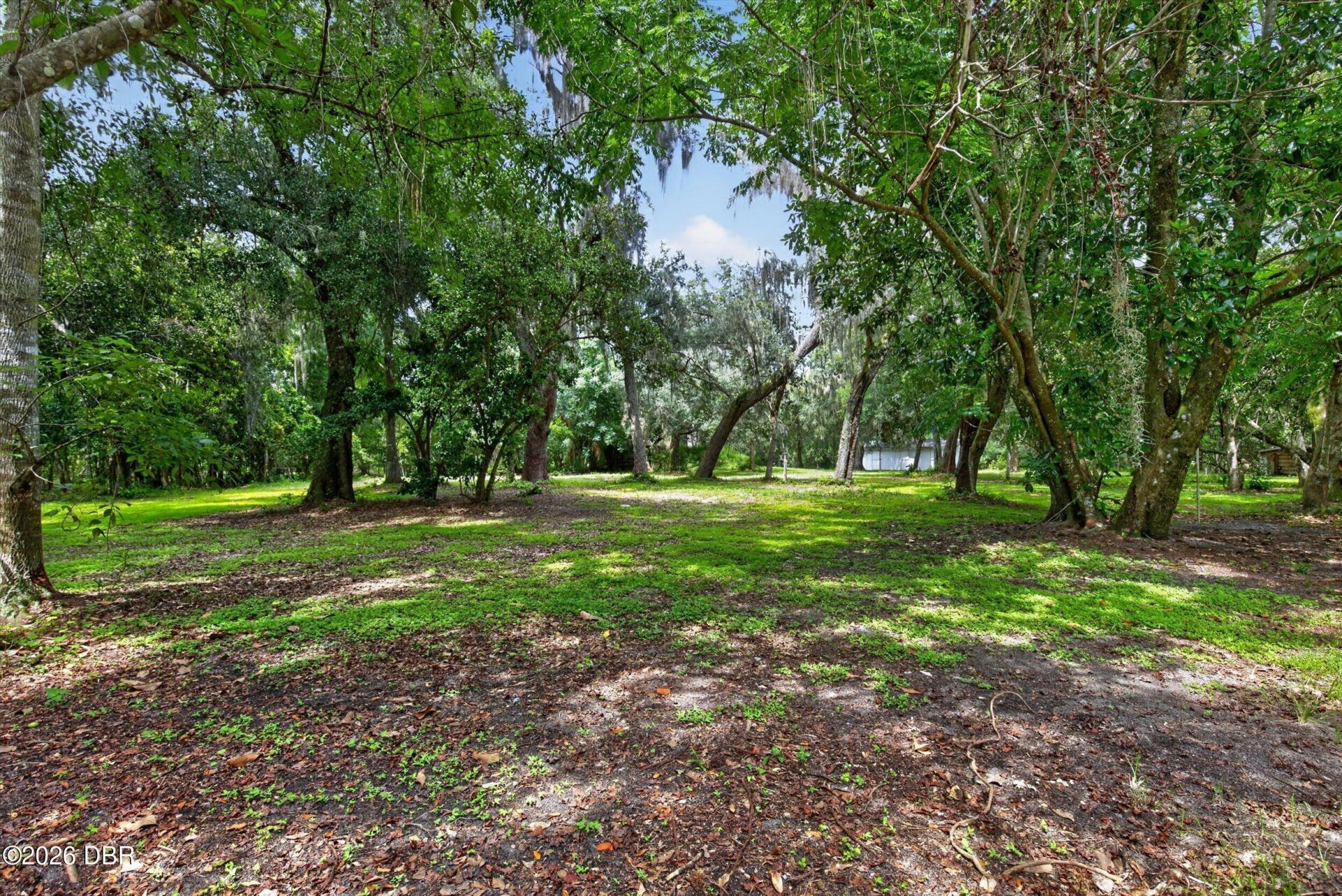 300 Scott Road, Geneva, FL 32732 Photo