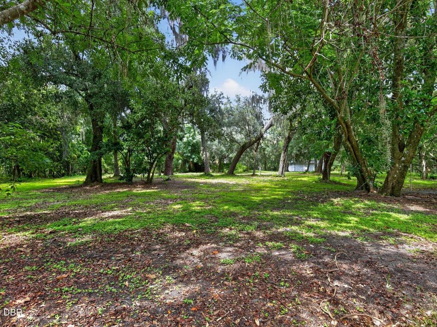 Property Image 59