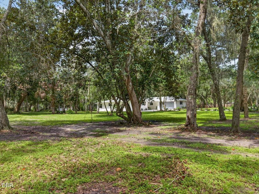 Property Image 78
