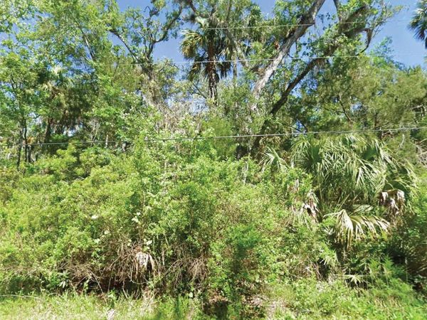 10243 W PALMETTO STREET , HOMOSASSA, FL 34448