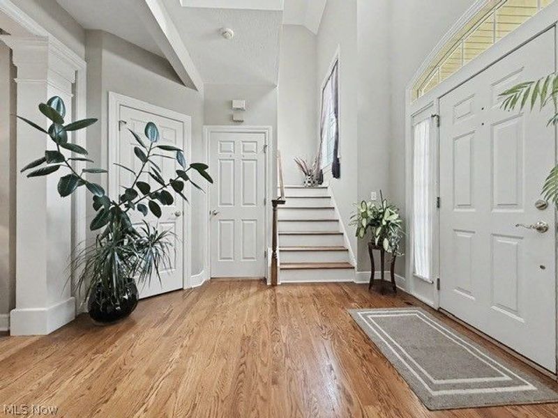 345 Knollwood Trail, Richmond Heights, OH 44143 Photo 3