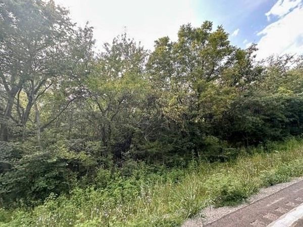 TBD 69 Highway, Turney, MO 64493