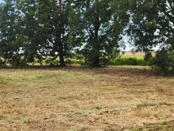6584 E State Highway 2, Westville, FL 32464