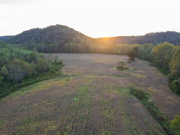00 Kentucky 344, Vanceburg, KY 41179