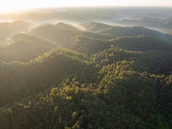 0 Kentucky 344, Vanceburg, KY 41179