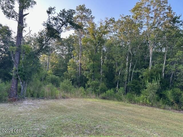 10010 Mcmahon Avenue, Hastings, FL 32145 Photo