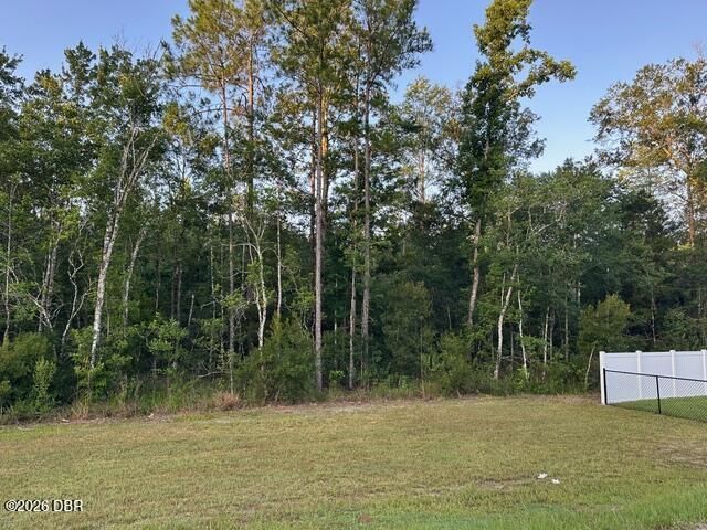 10010 Mcmahon Avenue, Hastings, FL 32145 Photo