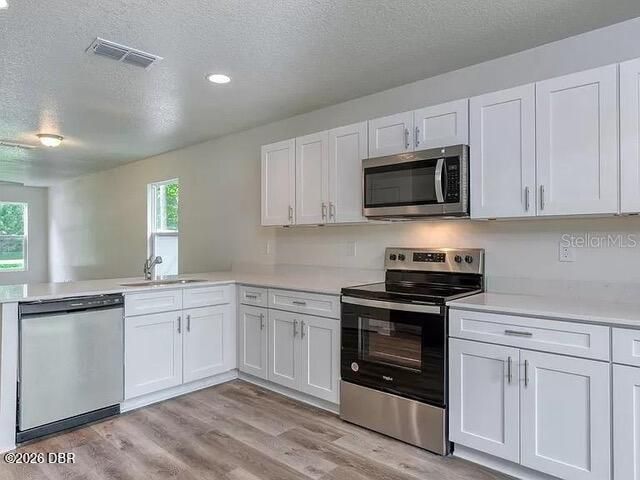 10010 Mcmahon Avenue, Hastings, FL 32145 Photo