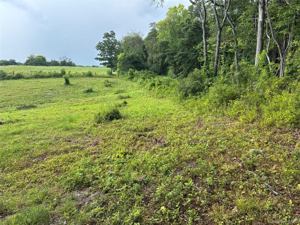 207 Pleasantvale Road , Tivoli, NY 12583