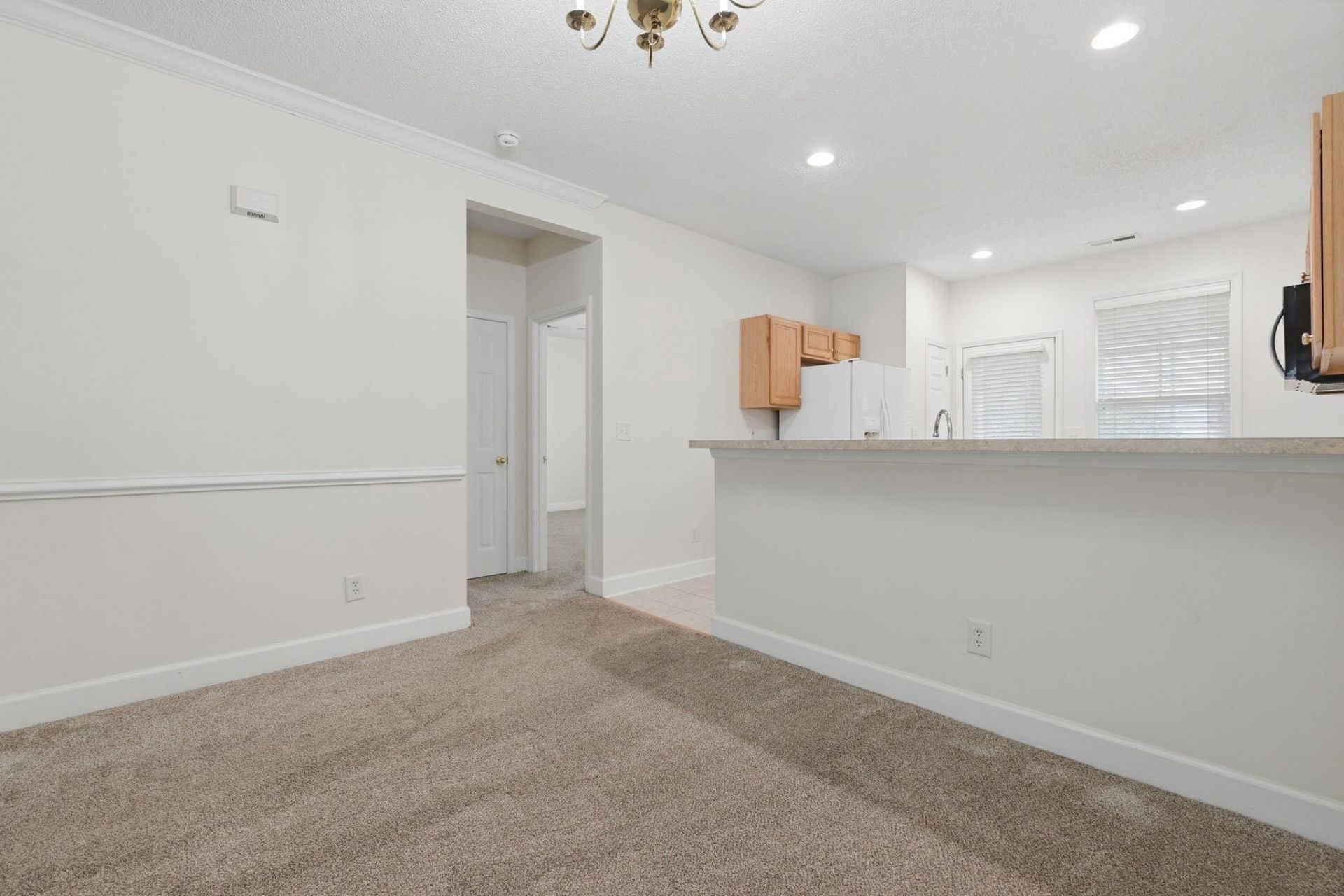 123 Coldstream Cove Loop Photo 14