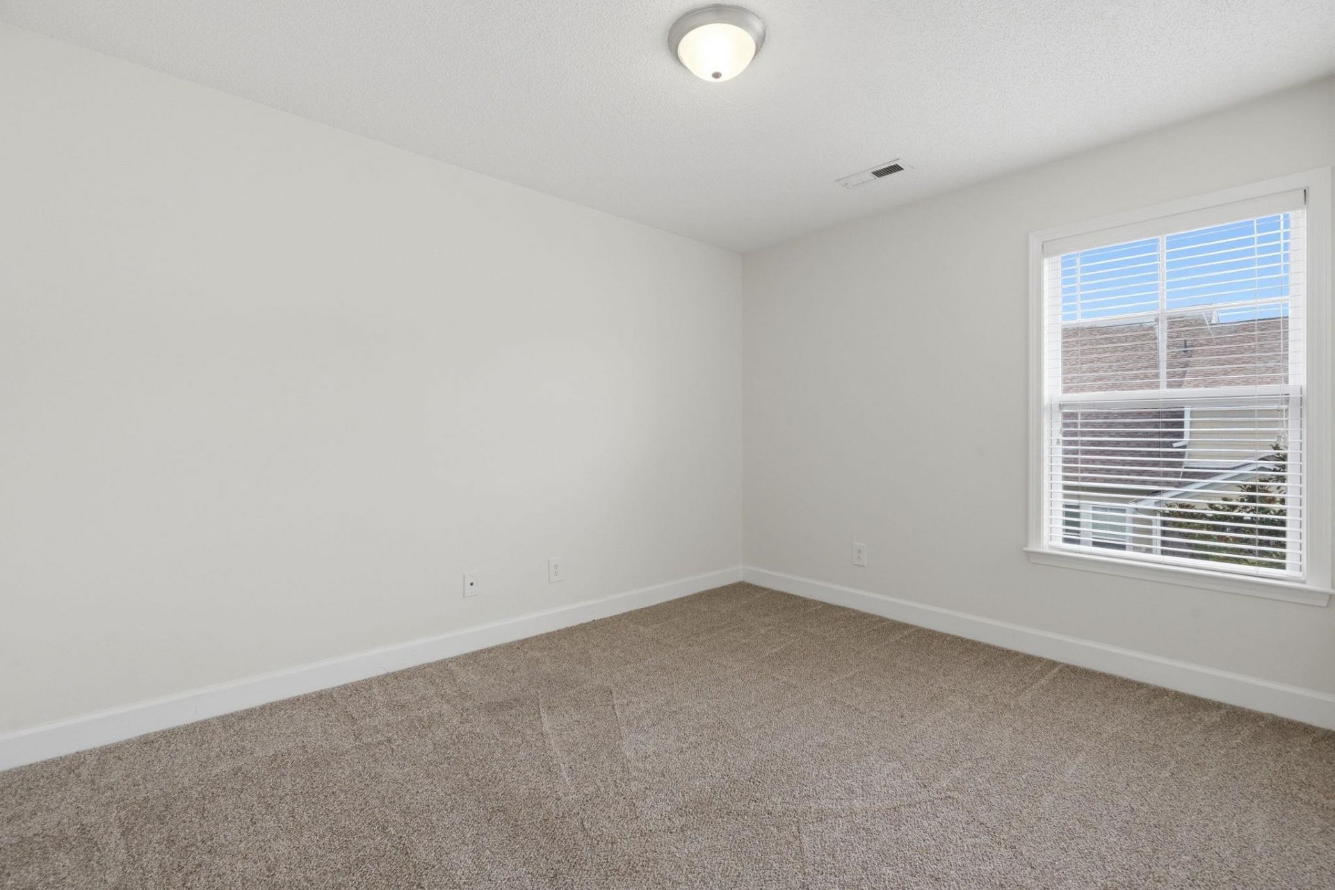 123 Coldstream Cove Loop Photo 28