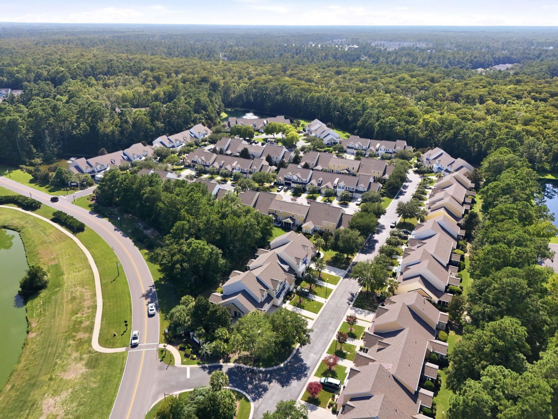 123 Coldstream Cove Loop Photo 9