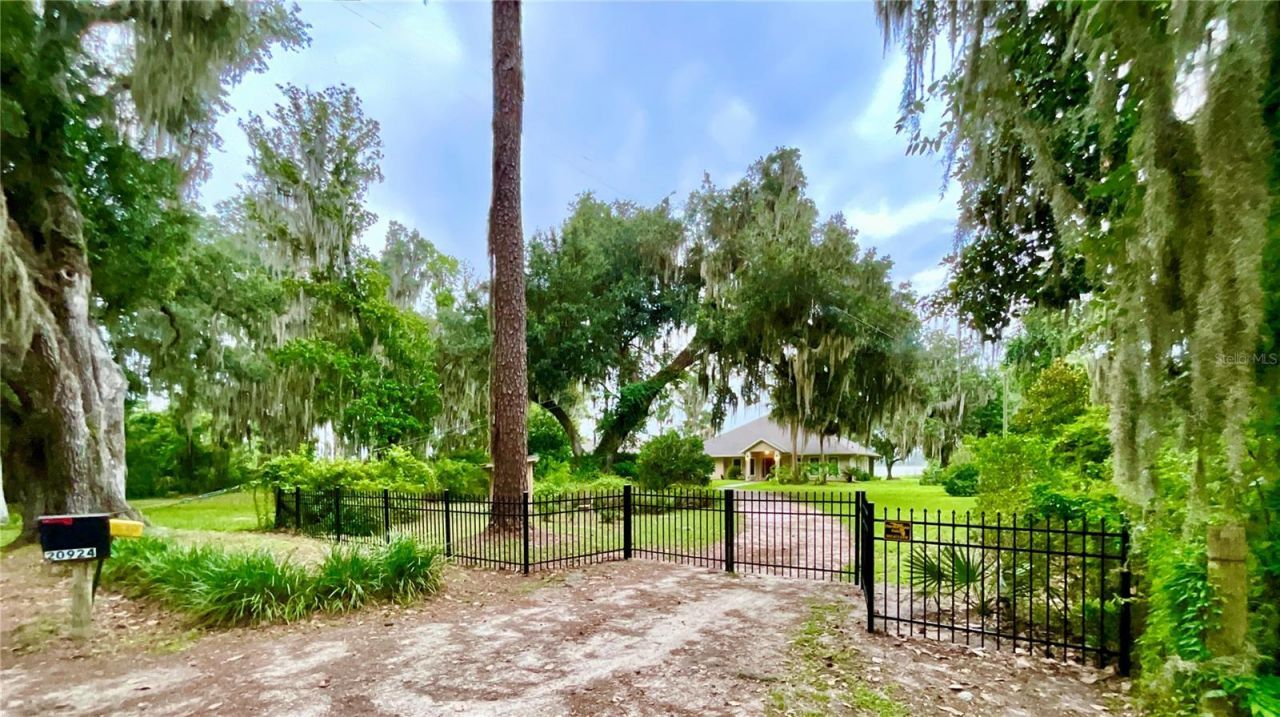 20924 NE 132nd Avenue, Waldo, FL 32694 Photo