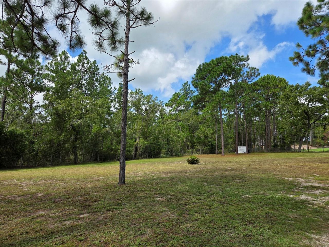 750 NE 131st Terrace, Williston, FL 32696 Photo
