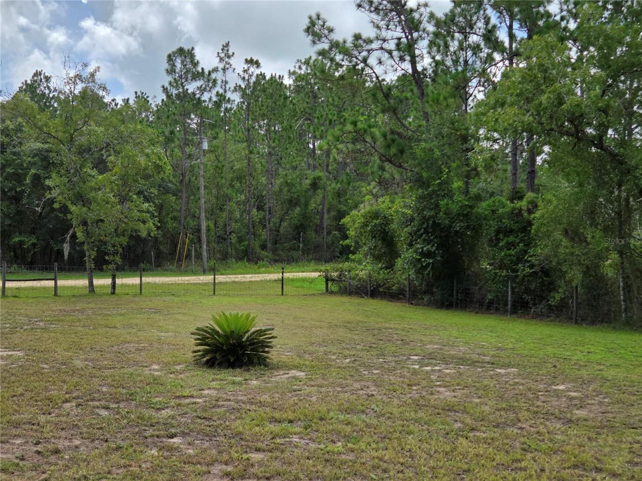 750 NE 131st Terrace, Williston, FL 32696 Photo