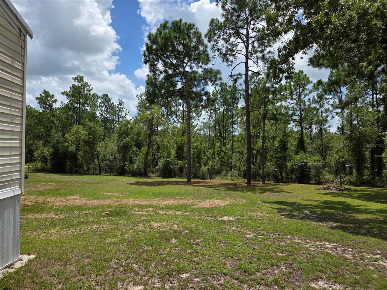 750 NE 131st Terrace, Williston, FL 32696 Photo