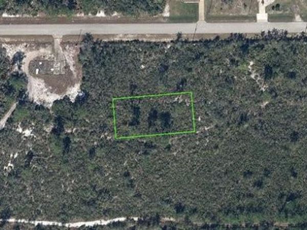 659 BUCHANAN STREET , LAKE PLACID, FL 33852