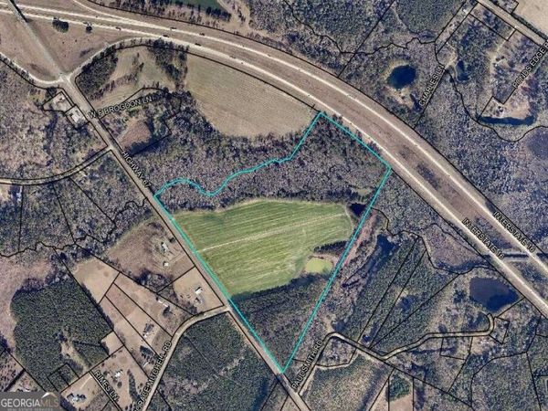 78.35 ACRES Highway 67, Brooklet, GA 30415