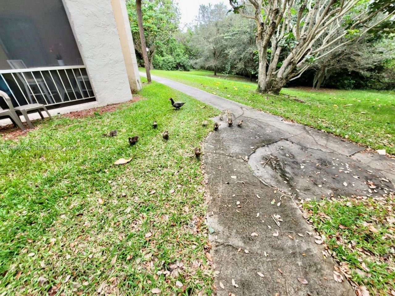 610 NW 13th St , Unit 11, Boca Raton, FL 33486 Photo