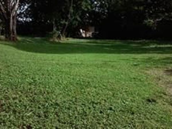 1033 Church Street, Dallas, TX 75203