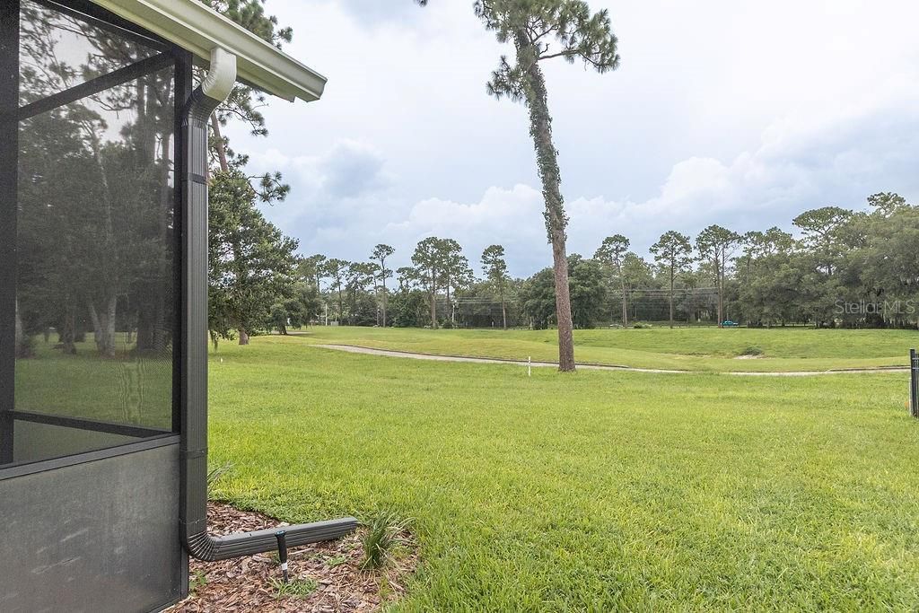 107 Curry Rise Court , Deland, FL 32724 Photo
