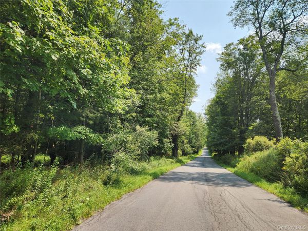 Soule Road , Bethel, NY 12720