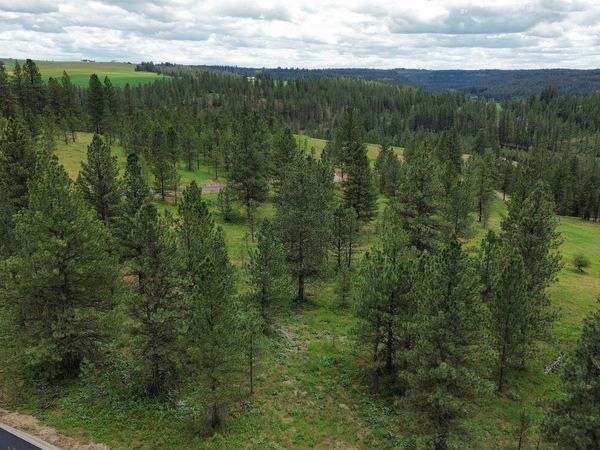 3344 Balsam Hill Ln, Valleyford, WA 99036